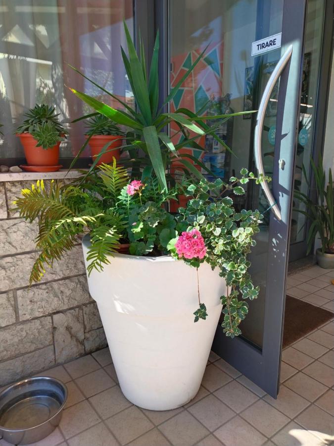 Hotel Goldene Rose Rimini Exterior foto