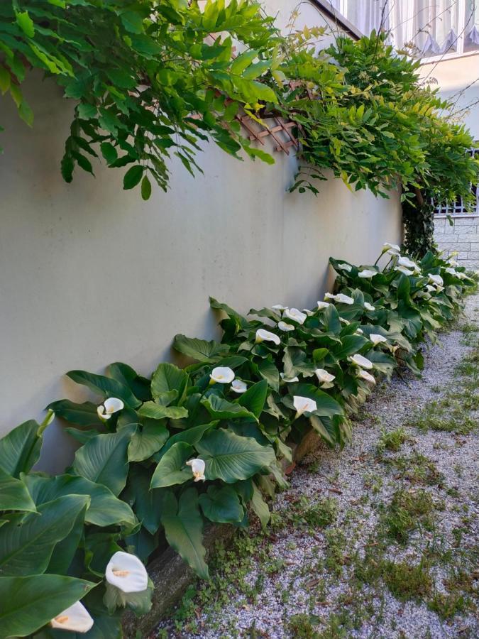 Hotel Goldene Rose Rimini Exterior foto